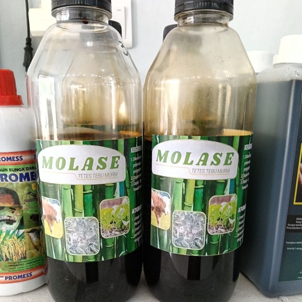 Molase 1 kg