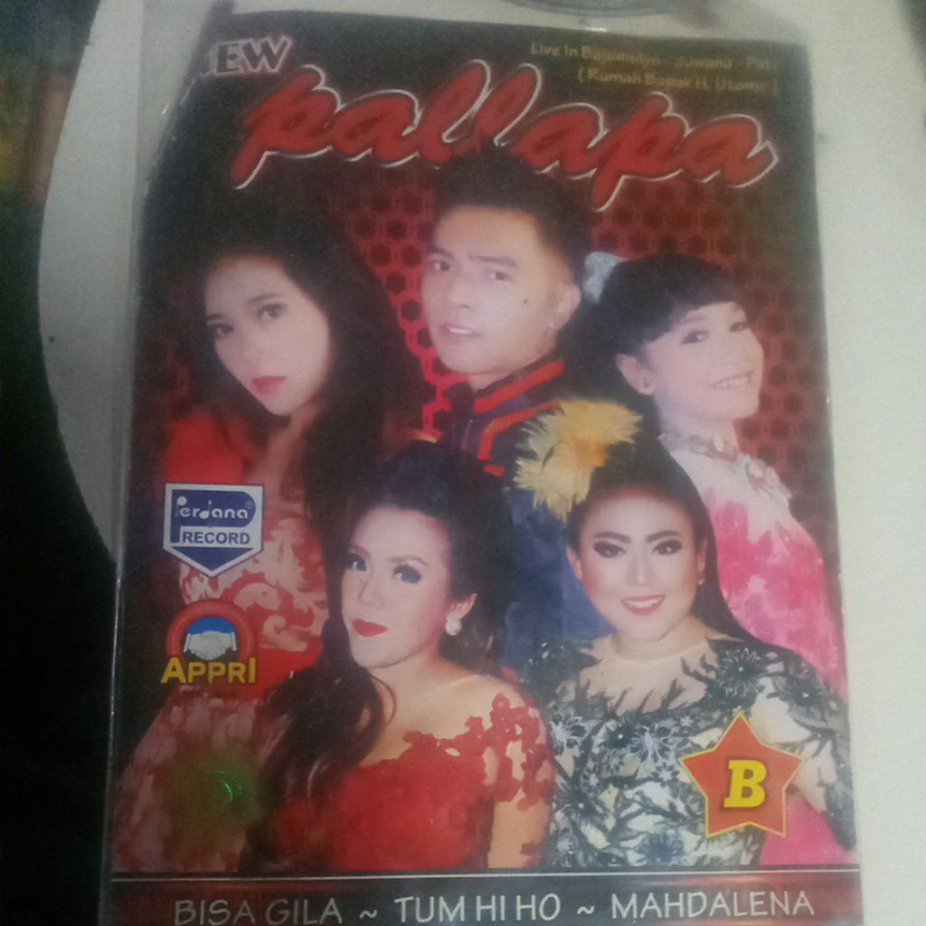 VCD NEW PALLAPA Z717