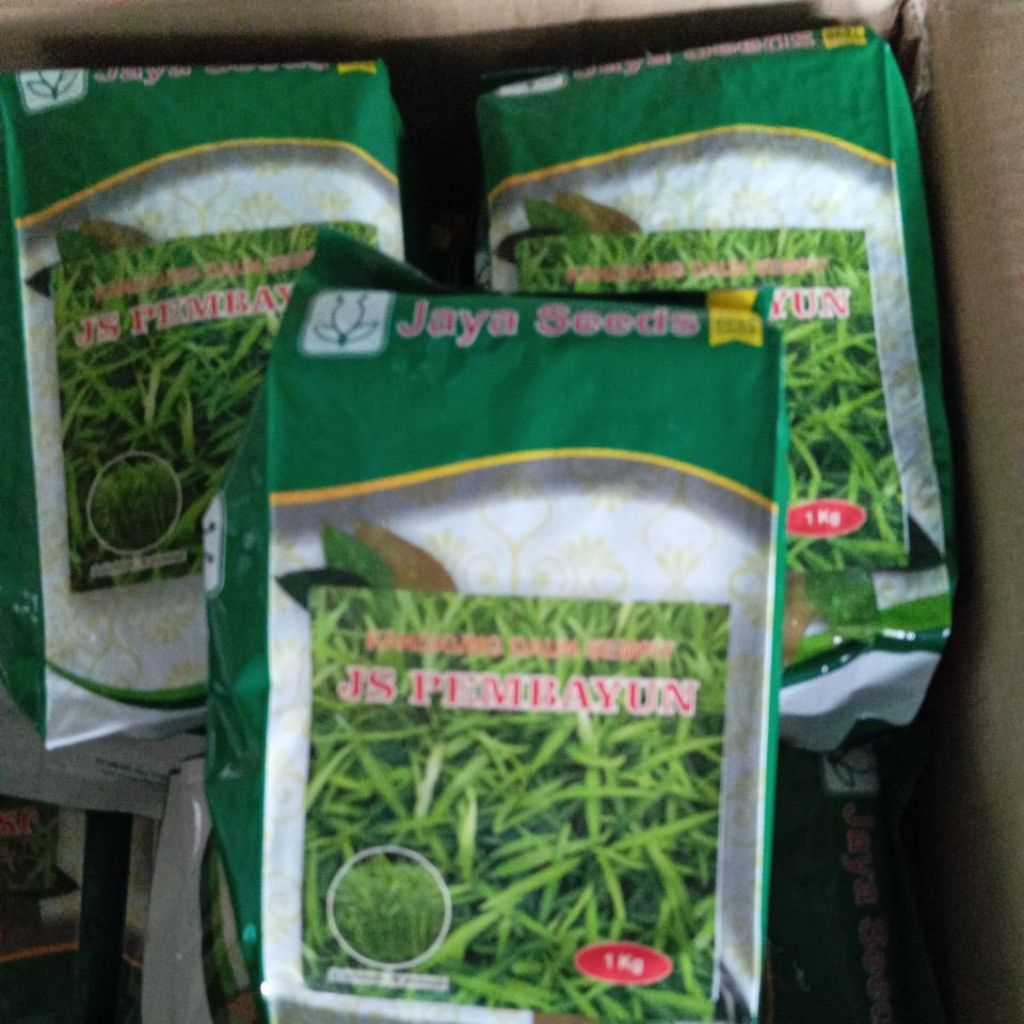 benih kangkung 1 kg