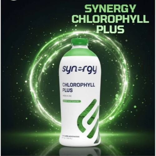 Liquid chlorophyll herbal Synergi Chlorophyll Plus