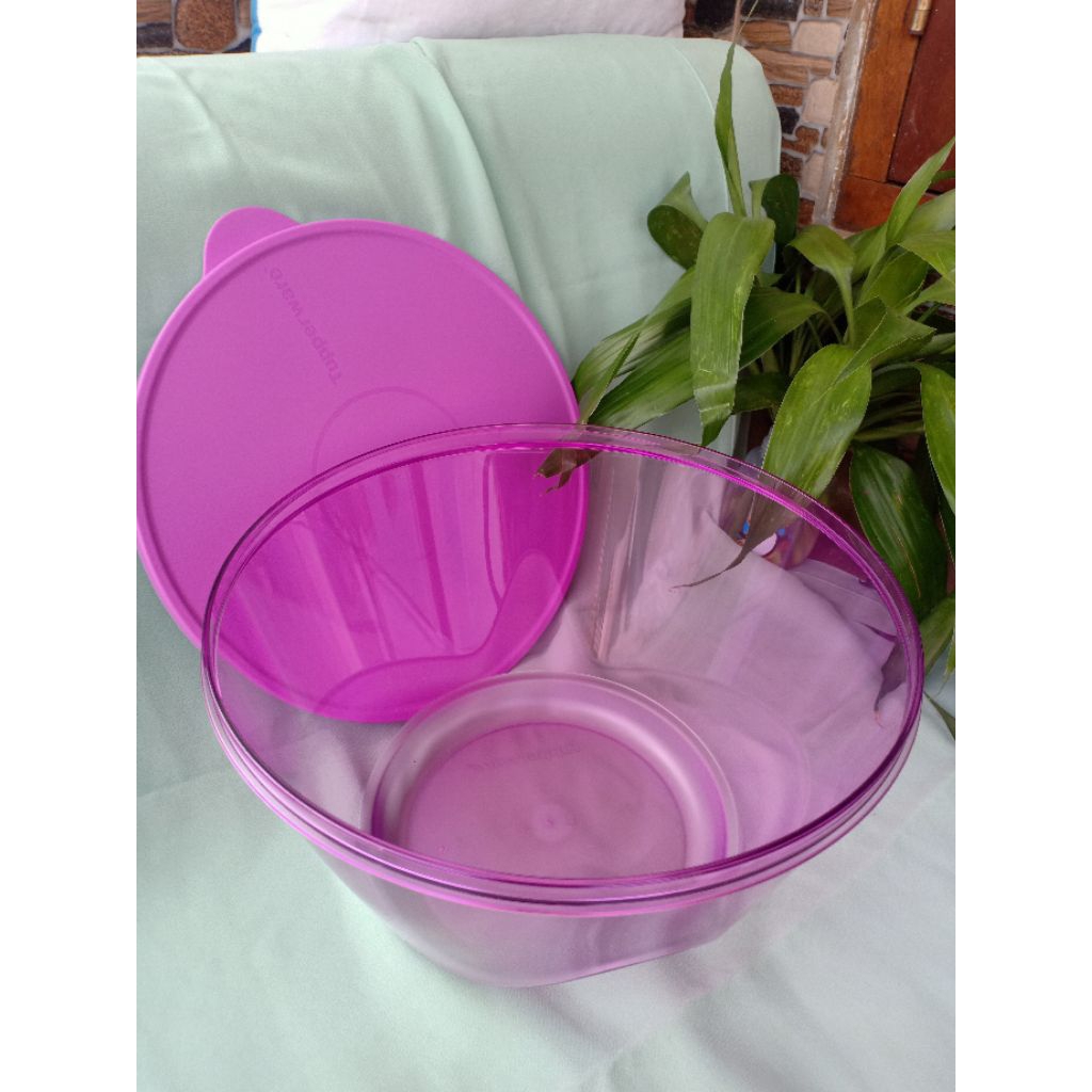 Tupperware 3S Bowl