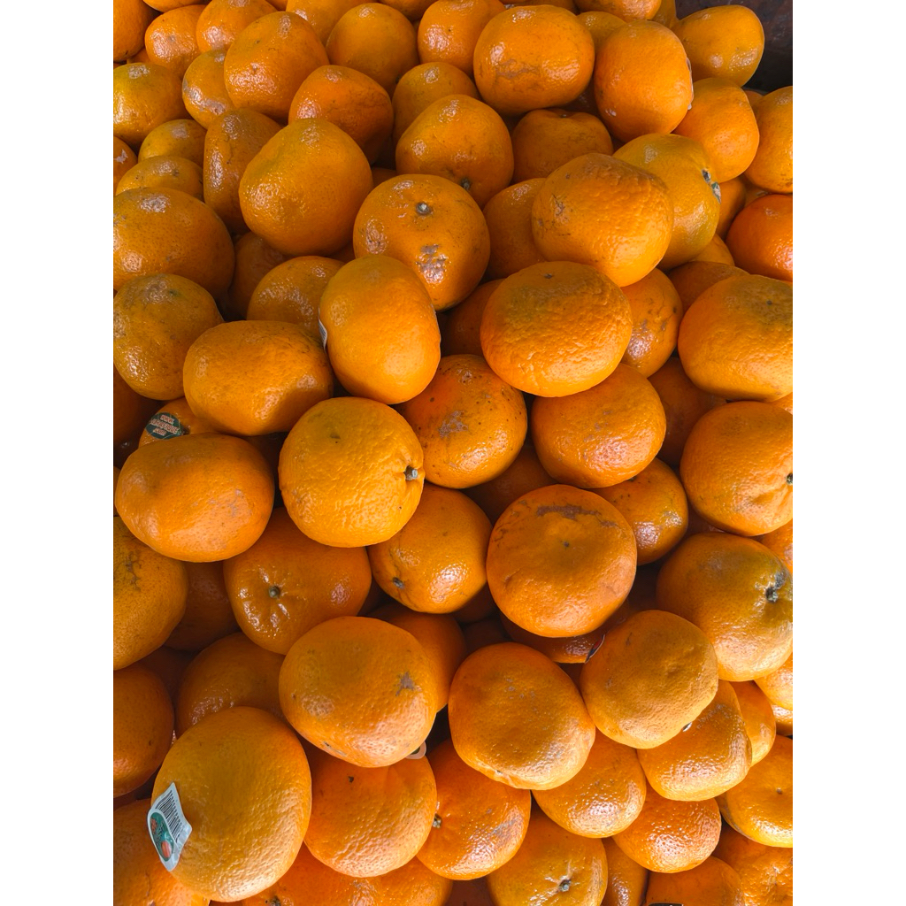 Jeruk Mandarin ponkam Fresh