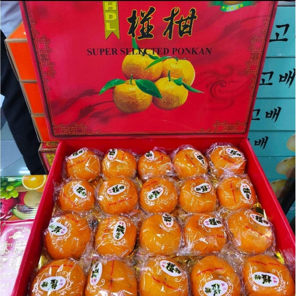buah jeruk ponkam hdl super selected ponkam spesial hampers imlek gift box isi 20 pcs