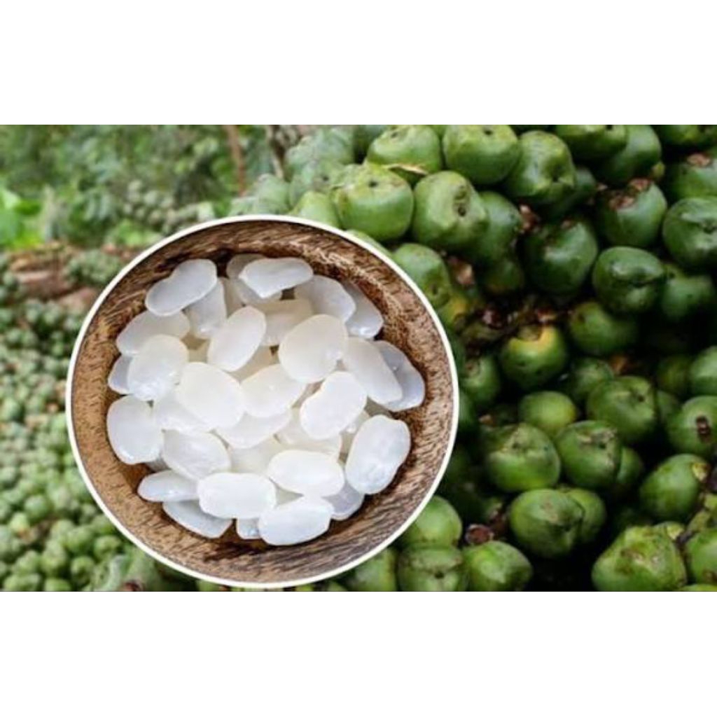 kolang Kaling segar 2kg kolang Kaling segar 2kg kolang Kaling segar berkualitas