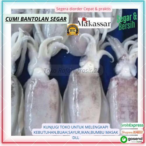 Cumi Bantolan Fresh Makassar,cumi Putih,cumi Daging Putih,cumi segar, cumi laut segar  cumi fresh  c