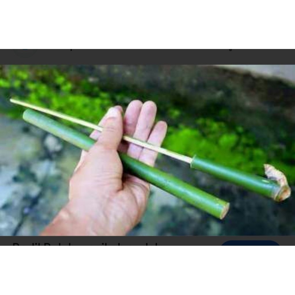 bedil bambu mainan tradisional