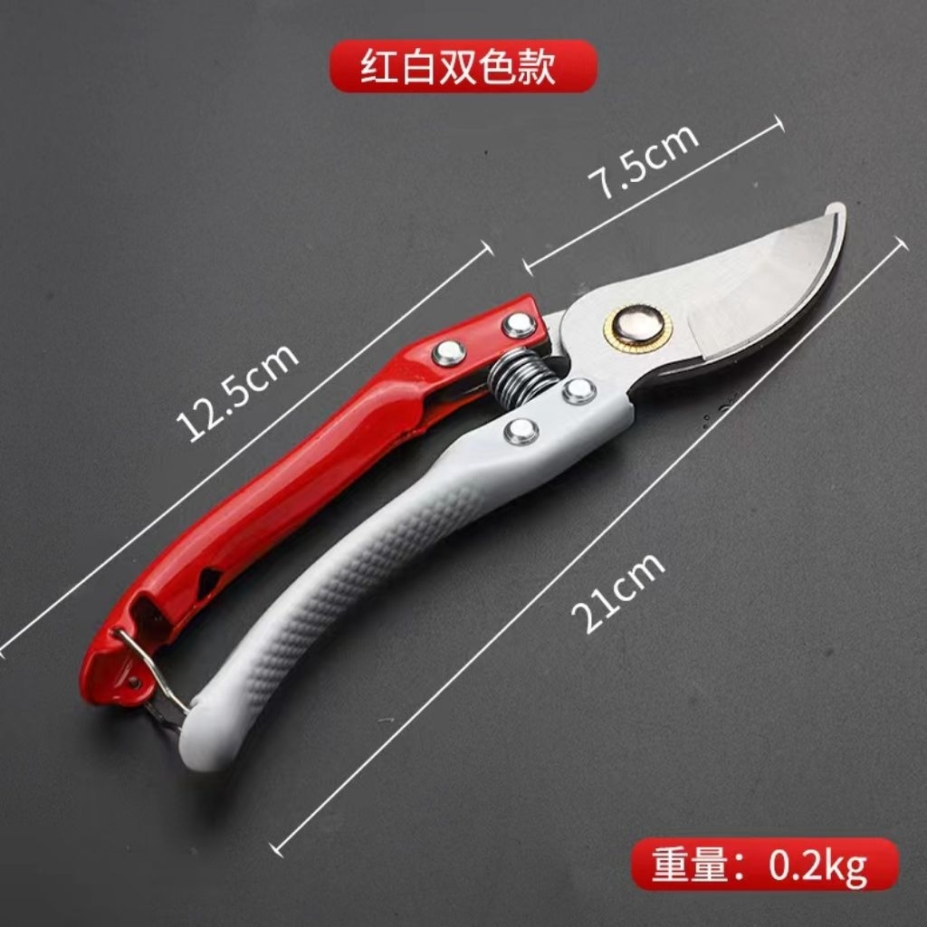 Gunting pangkas dahan ranting tanaman