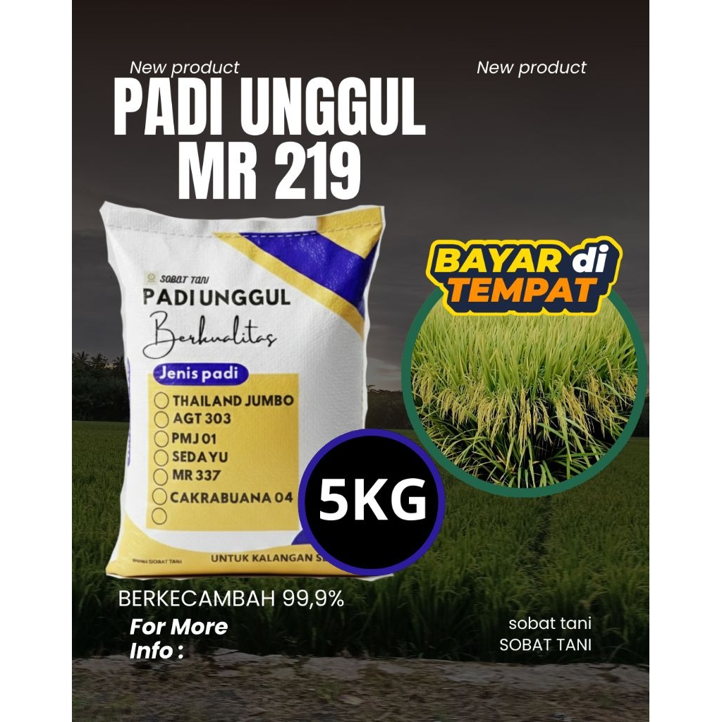 Benih Padi MR 219 Unggul Kemasan 5kg - Bibit Padi Pilihan Berkualitas​Bibit Padi MR 219 5kg Asli - B