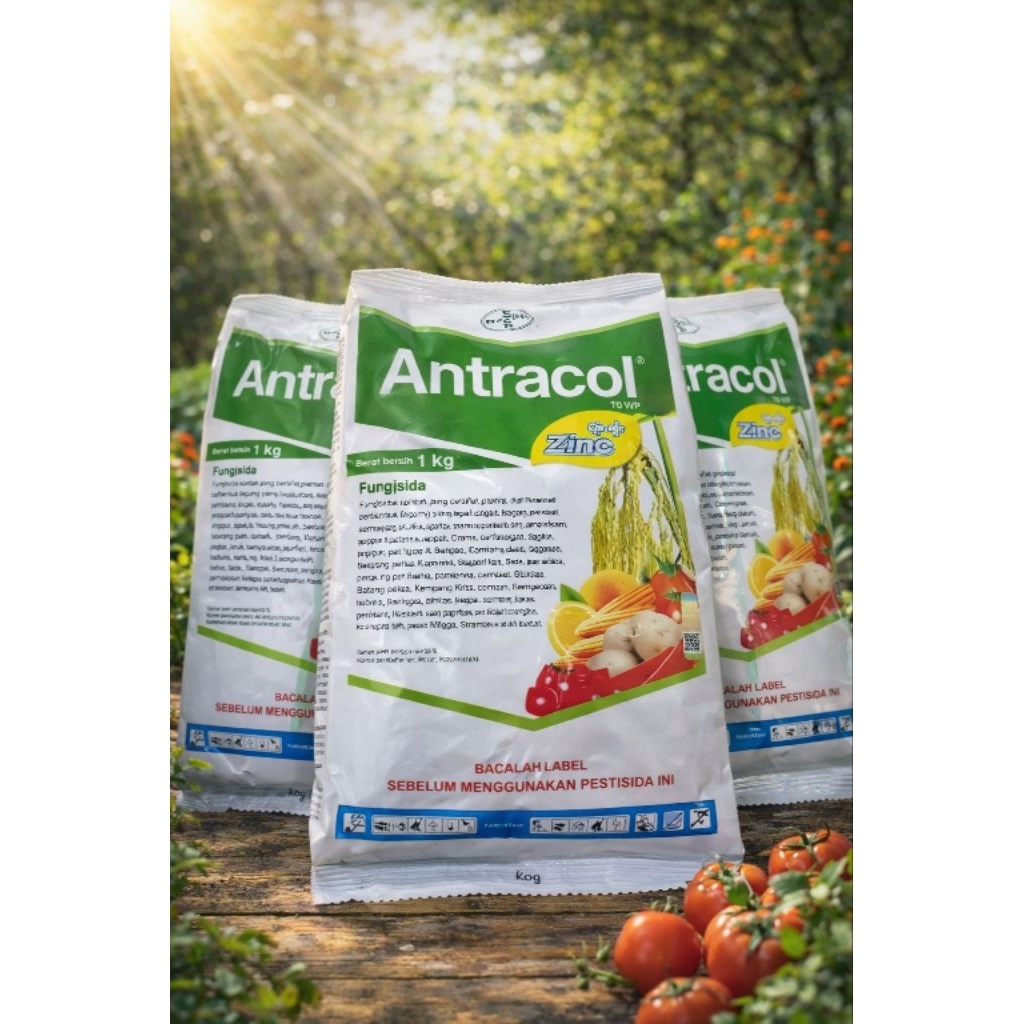 ANTRACOL FUNGISIDA 1KG