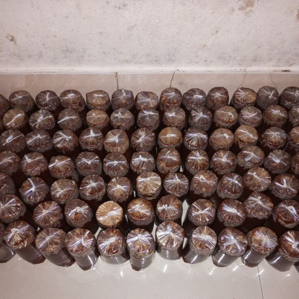 GULA MERAH KELAPA ASLI KALIMANTAN BARAT TANPA PENGAWET DAN BAHAN PEMANIS BUATAN