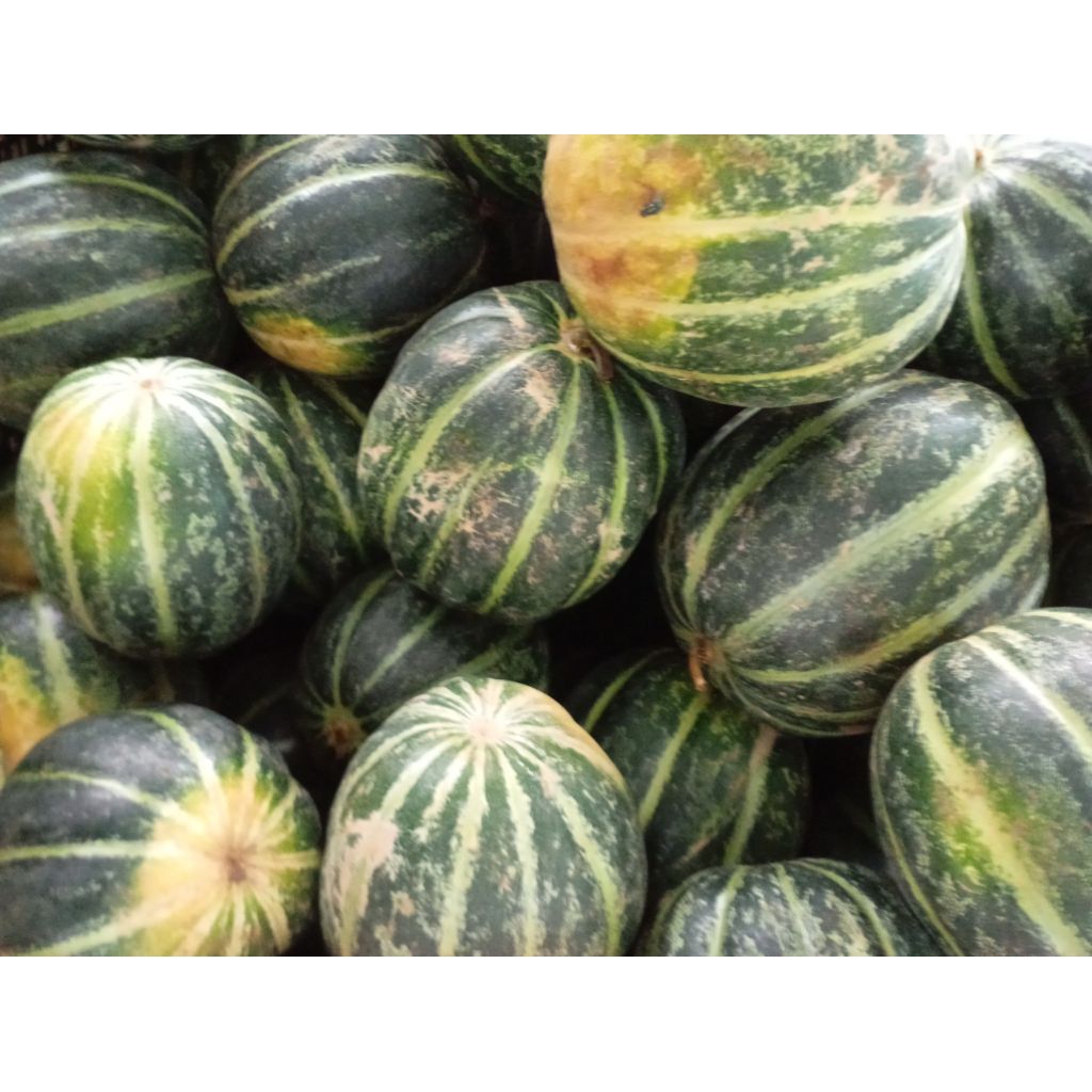 BUAH BELEWAH BLEWAH WANGI SEGAR