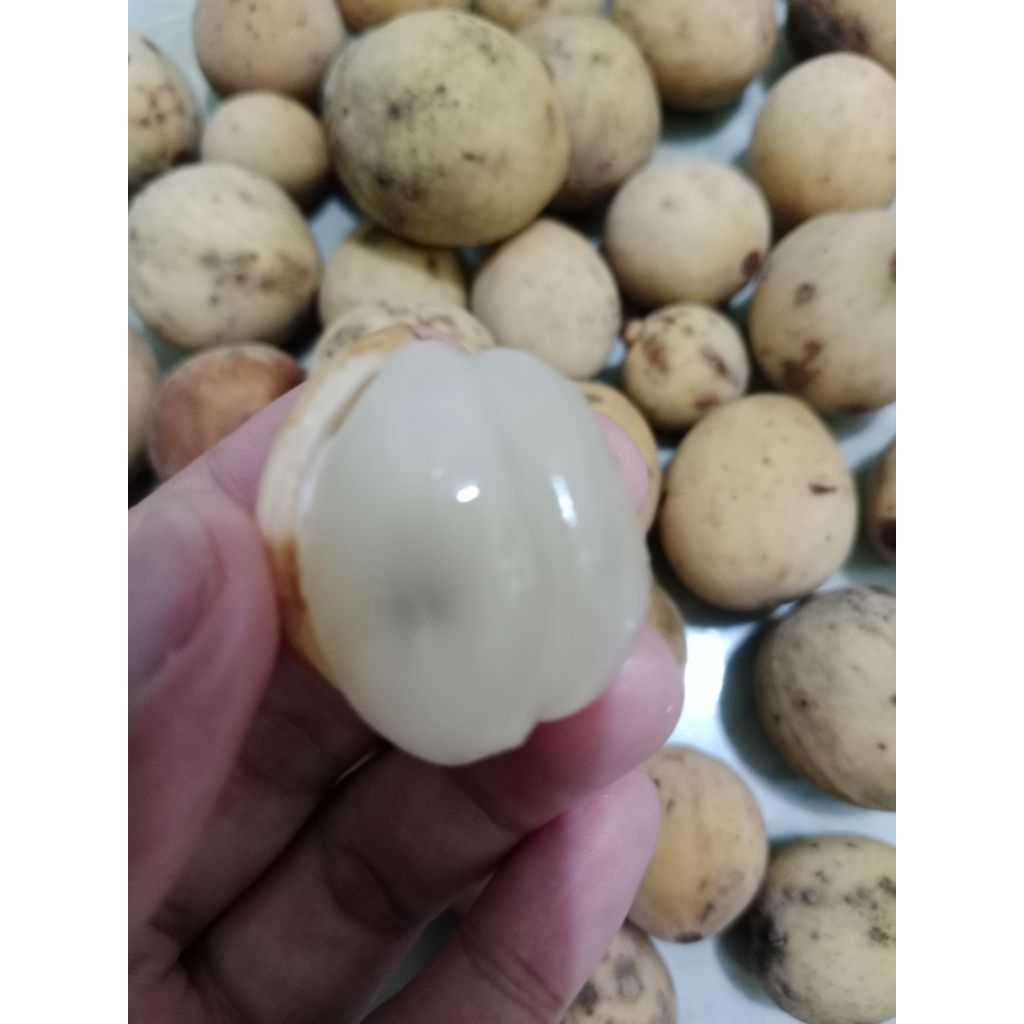Buah Duku palembang manis 1kg