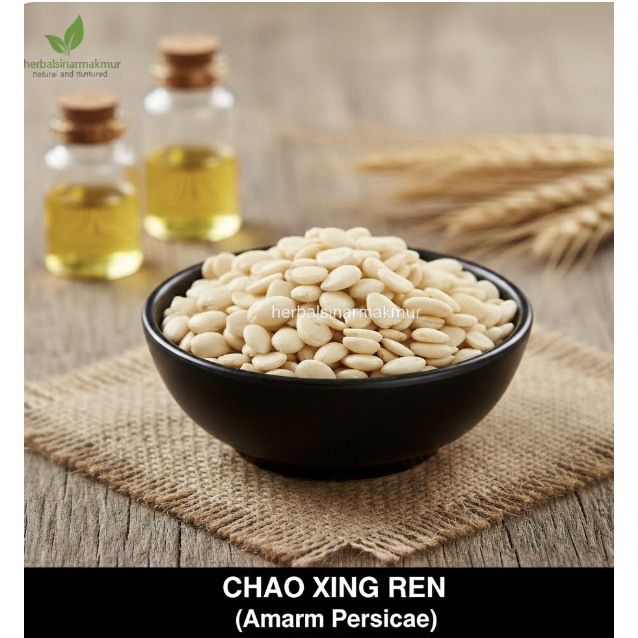 CHAO XING REN / BITTER APRICOT KERNEL / BIJI APRIKOT SANGRAI – 150gr