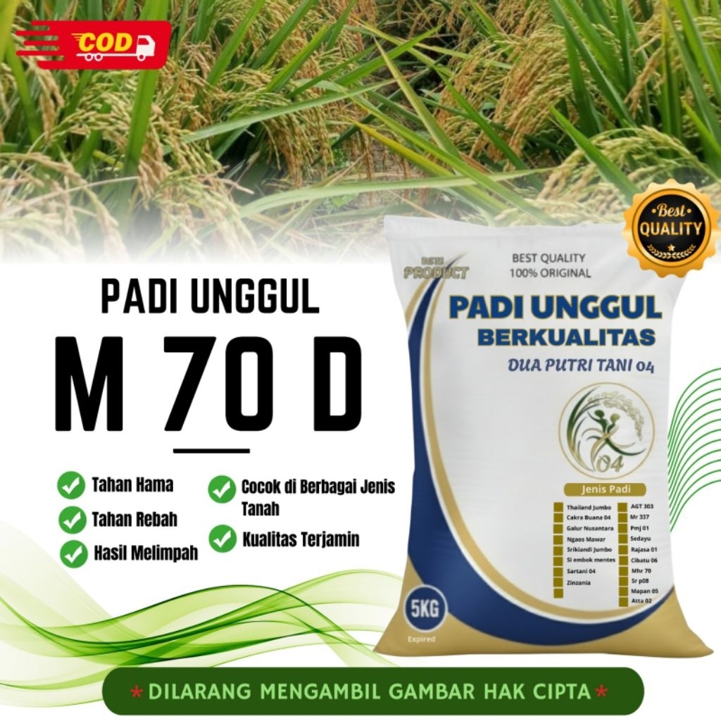 bibit PADI M70 D kemasan 5kg