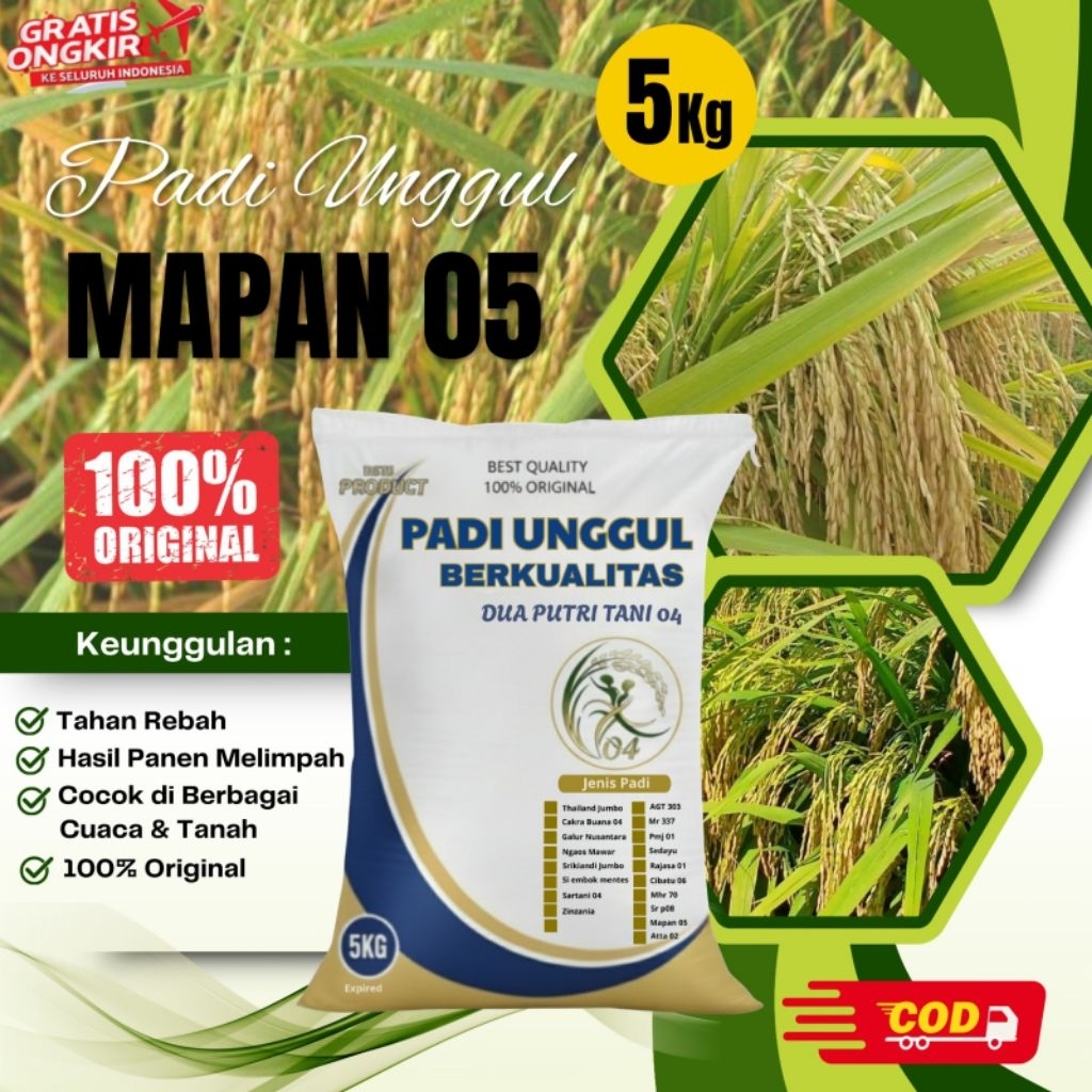 bibit PADI MAPAN 05 kemasan 5kg