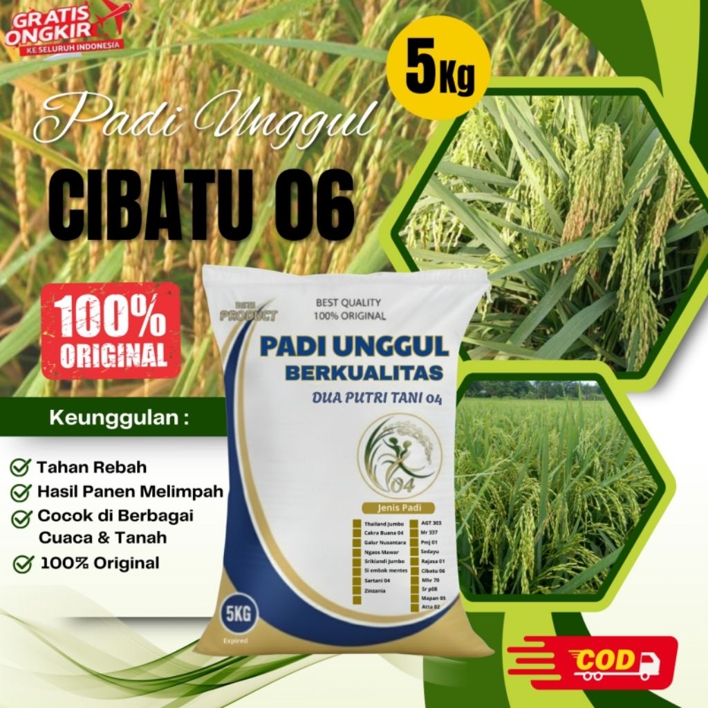 PADI CIBATU 06 kemasan 5kg