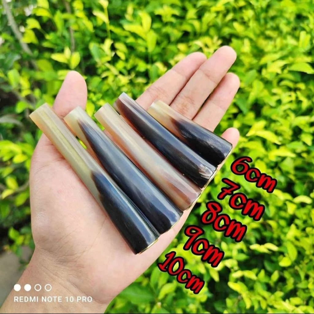 PIPA ONCE TANDUK KERBAU HITAM BULE SUPERAN PENDEK BERVARIASI