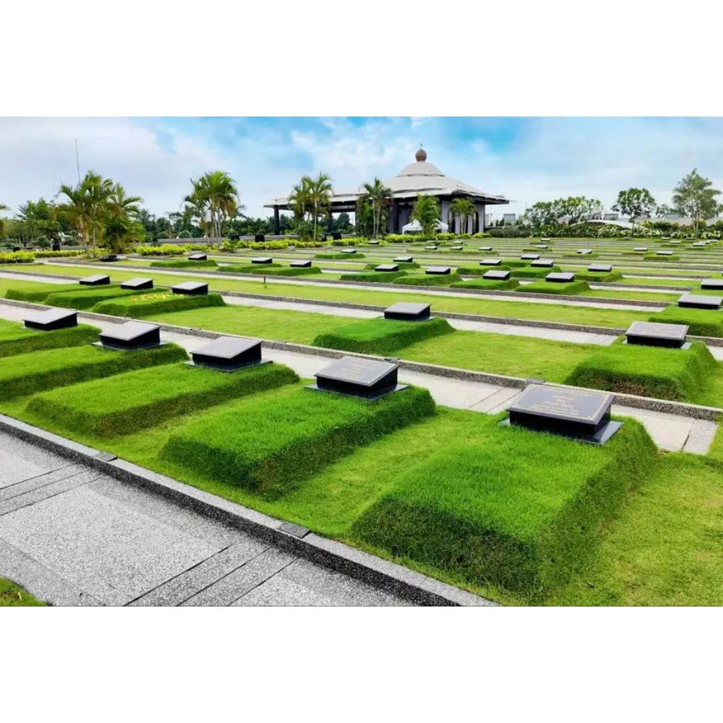 promo jasa pasang rumput makam