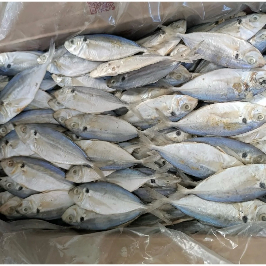 ikan asin selar