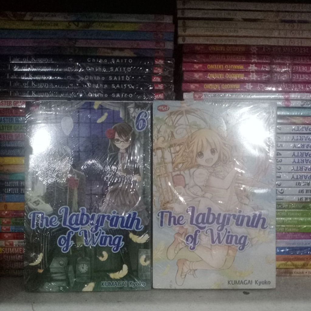Komik The Labyrinth of Wing