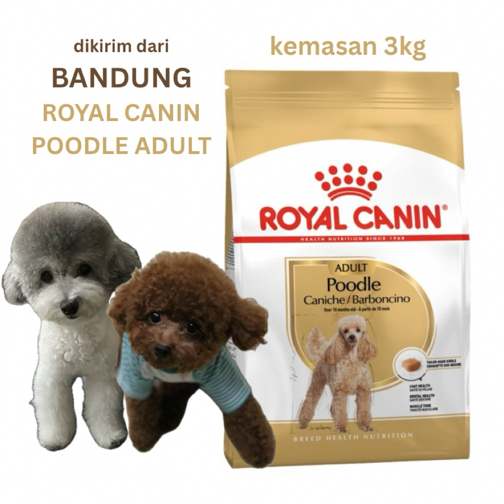 Royal Canin Poodle Adult 3kg (makanan anjing poodle)