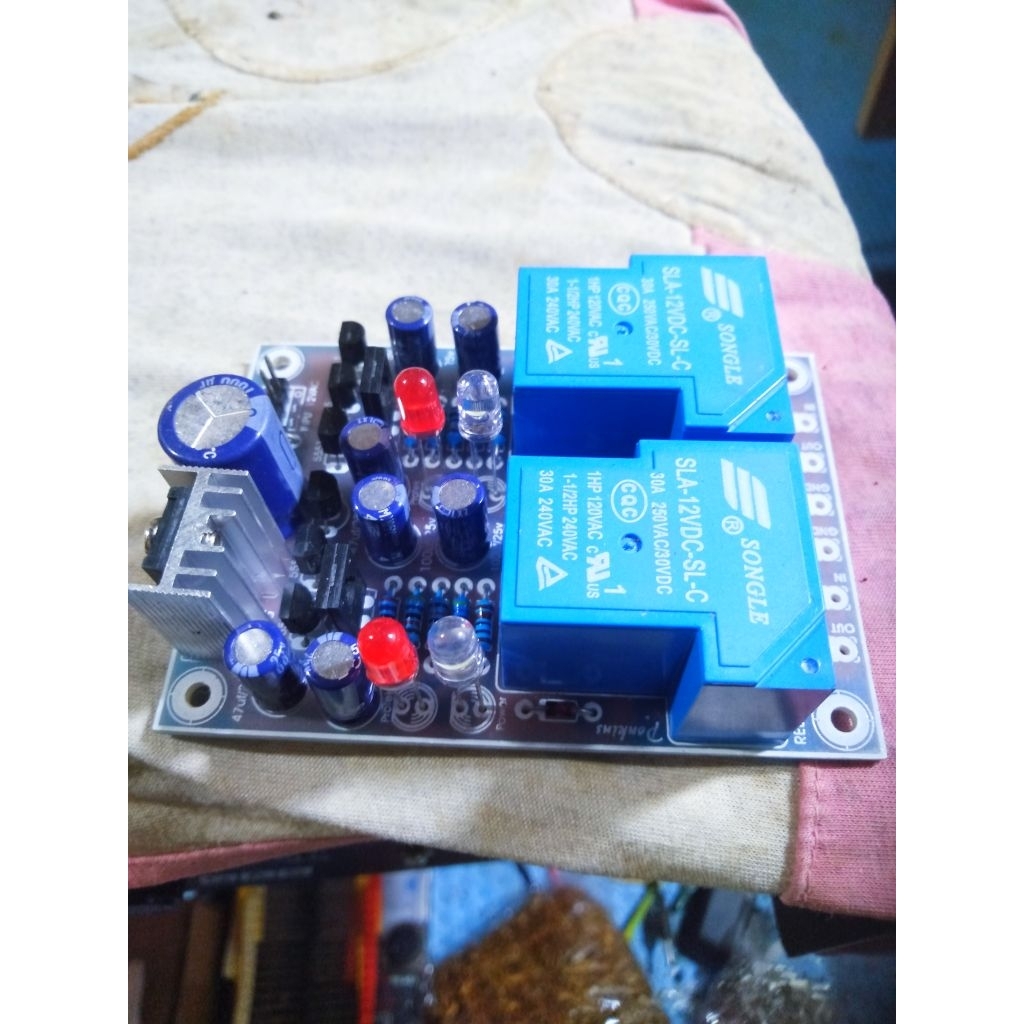 protektor speaker stereo