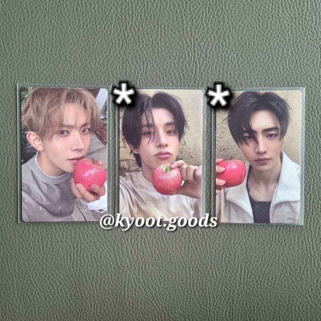 Photocard Enhypen Fugitives POB Showcase