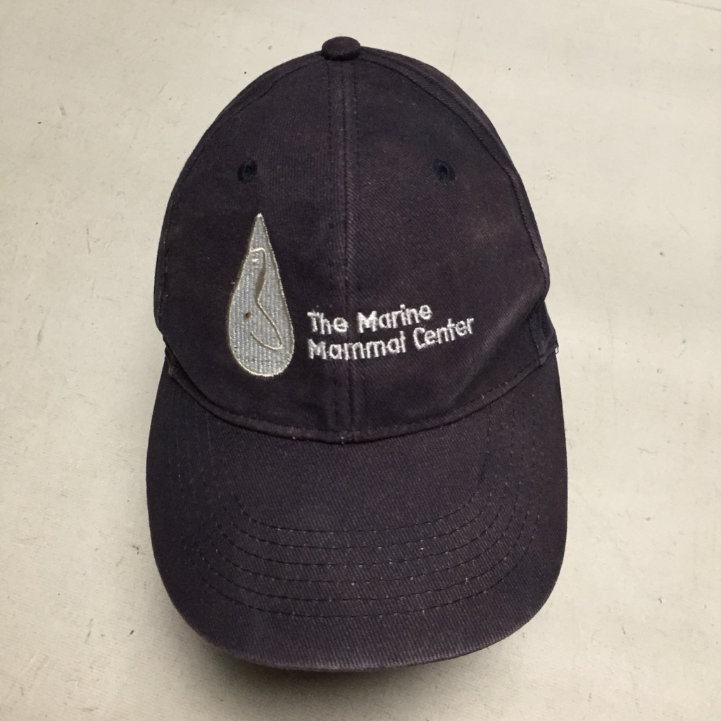 PORT & COMPANY CAP TOPI