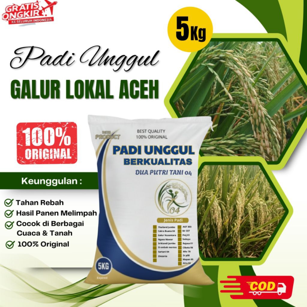 Benih Padi Unggul GALUR LOKAL ACEH Kemasan 5kg