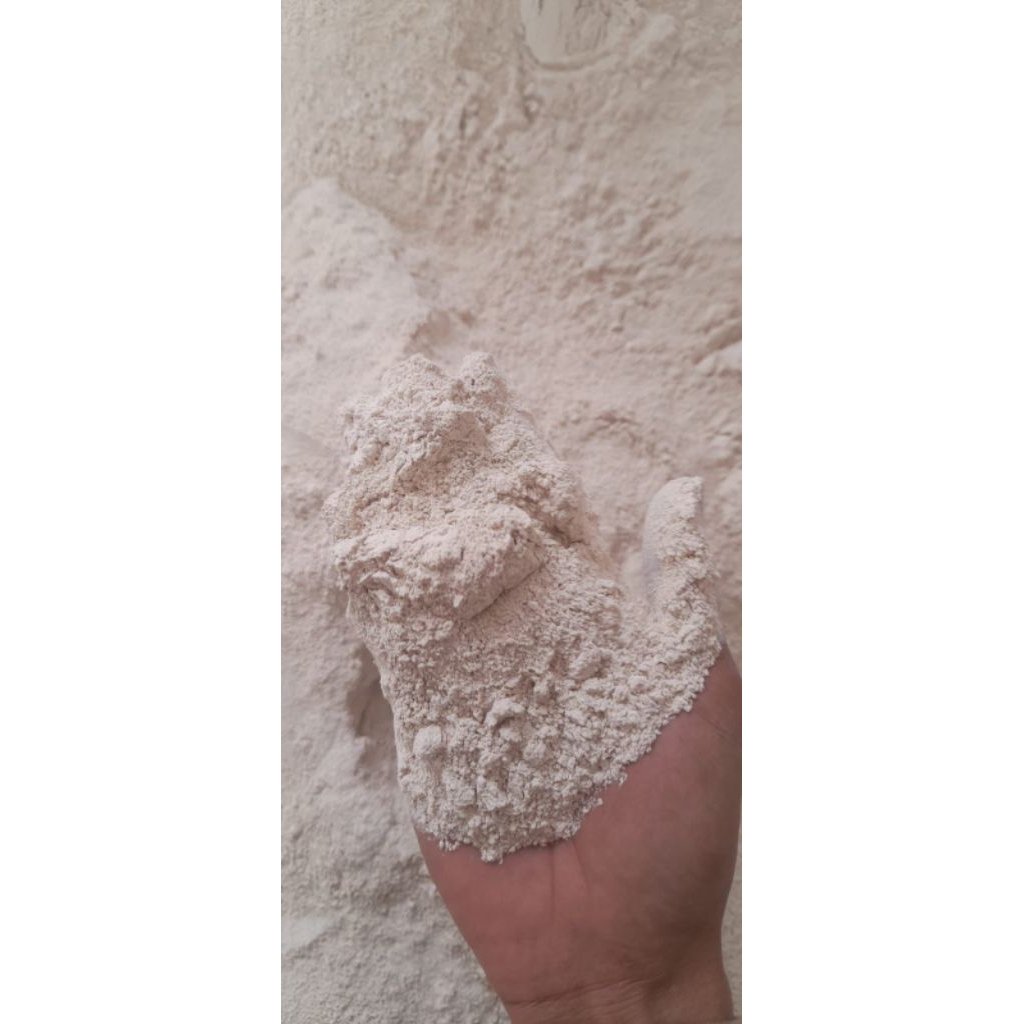 KAPUR DOLOMIT 30KG | PENETRAL pH TANAH | KAPUR PEMBENAH TANAH | KAPUR TAMBAK IKAN - KJP