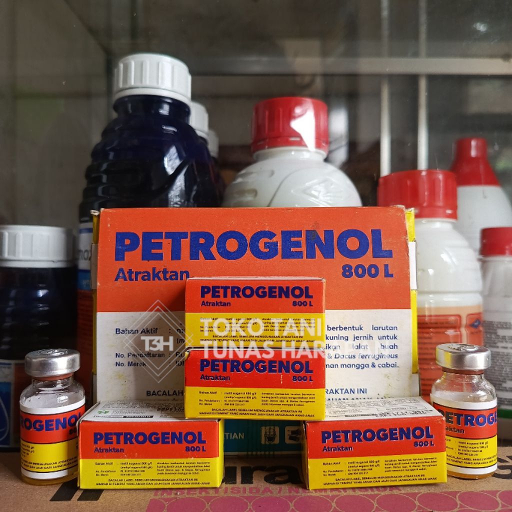 Petrogenol 800L Atraktan Lalat Buah Asli | Obat Perangkap Lalat Buah Mangga Cabai Jeruk
