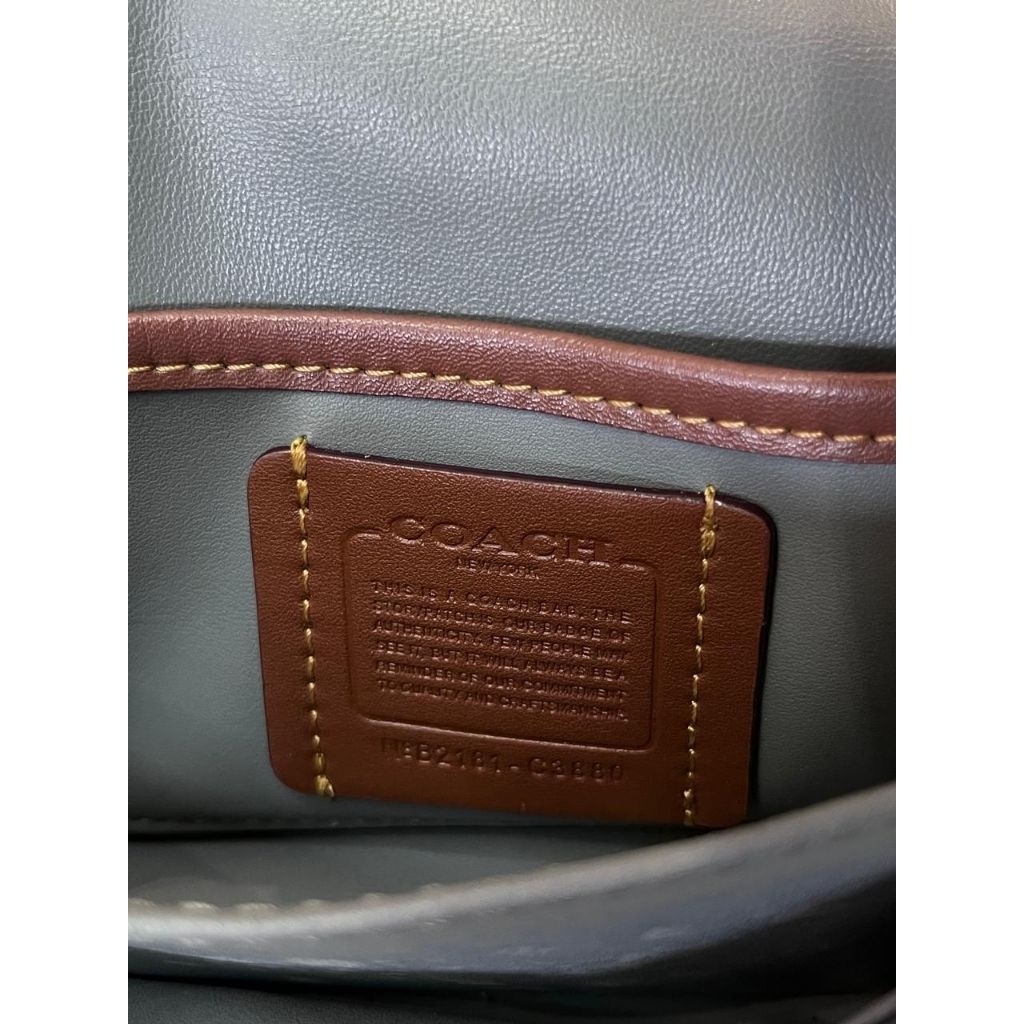 Coc pillow Tabby shoulder Bag