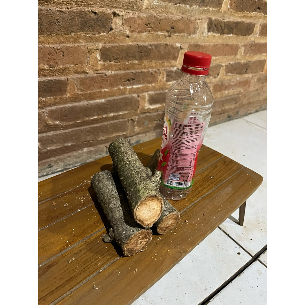 steak bibit waru India freshh