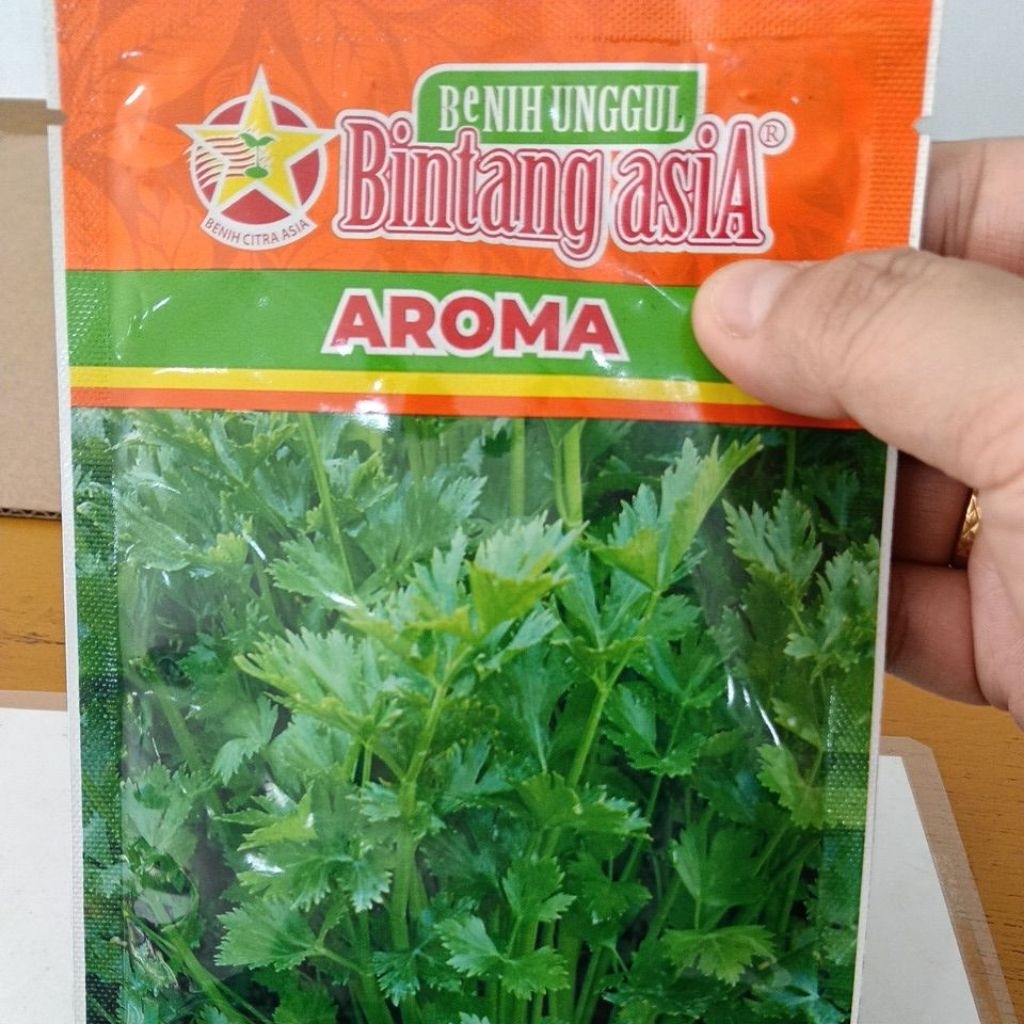 Benih Seledri Aroma - Daun Hijau, Aroma Keras, Anakan Banyak
