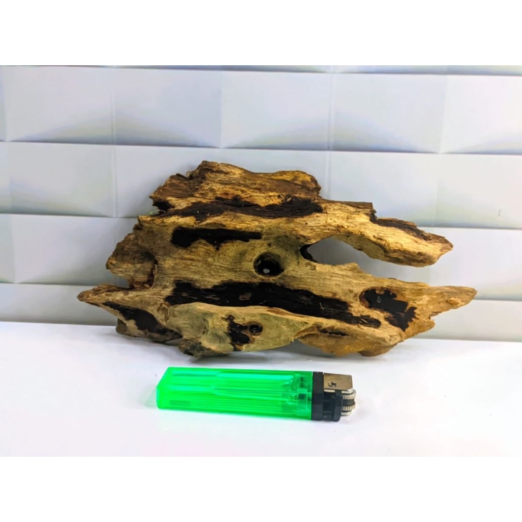 kayu rentek aquascape tenggelam