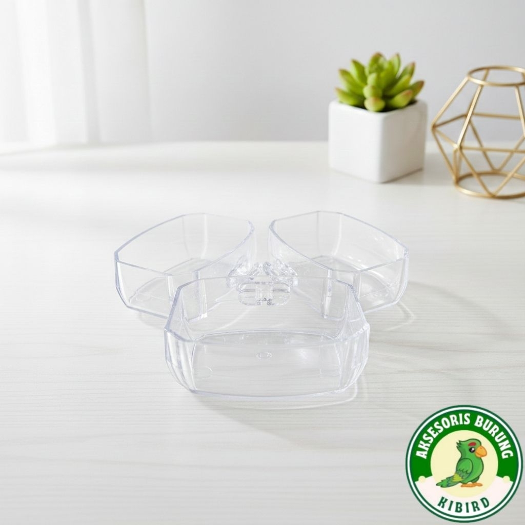 CEPUK BURUNG KECIL CEPUK BURUNG MANDI PLECI