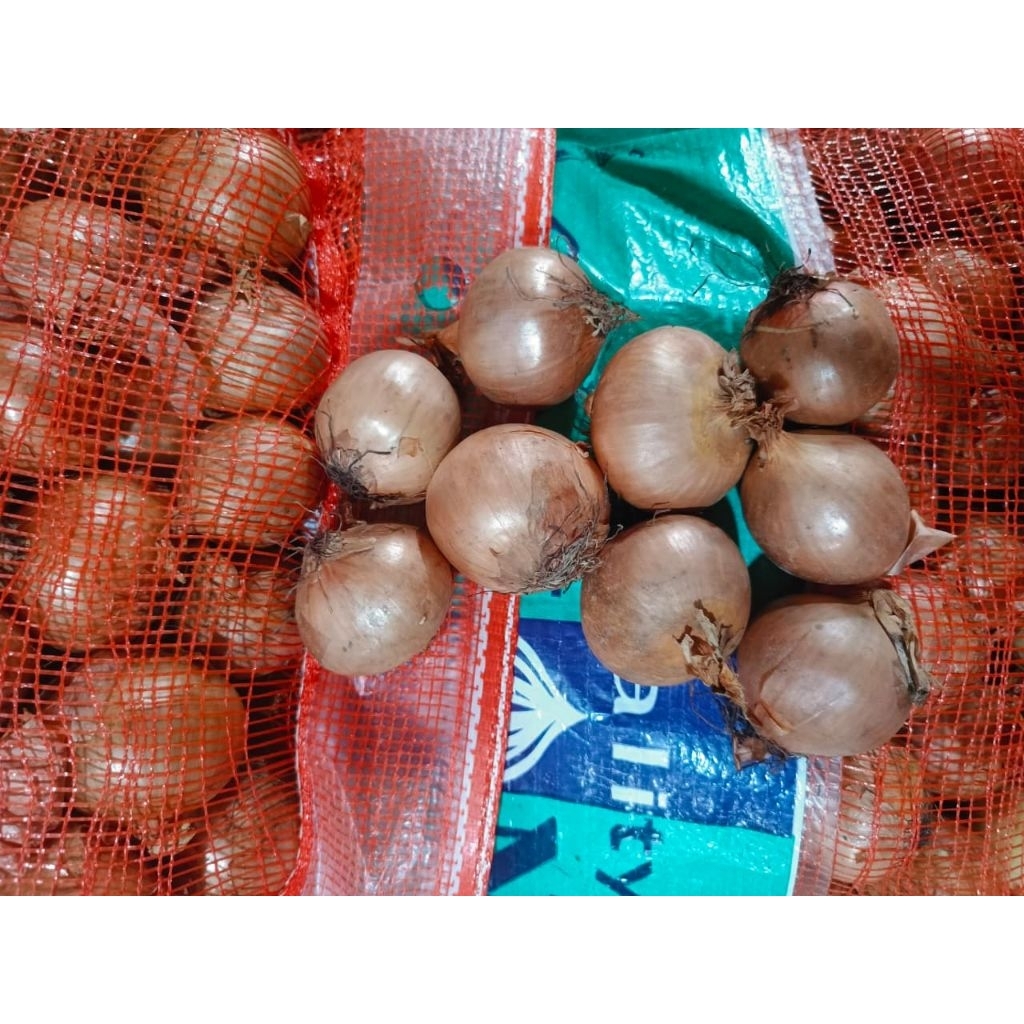Bawang Bombay Segar 1kg - Bawang Merah Segar, Berkualitas Tinggi, Siap Digunakan