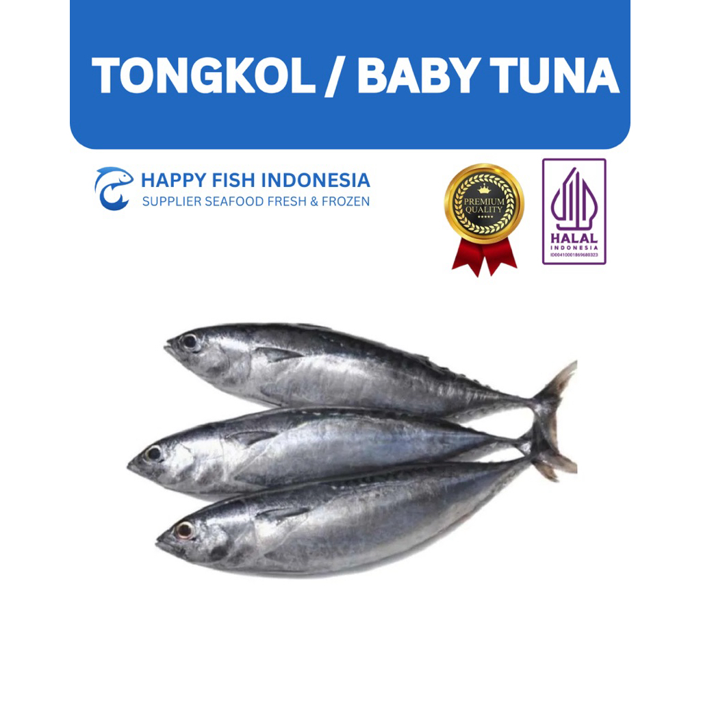 Tongkol / Baby Tuna Segar 500g - Ikan Tongkol Fresh - Ikan Tongkol Frozen