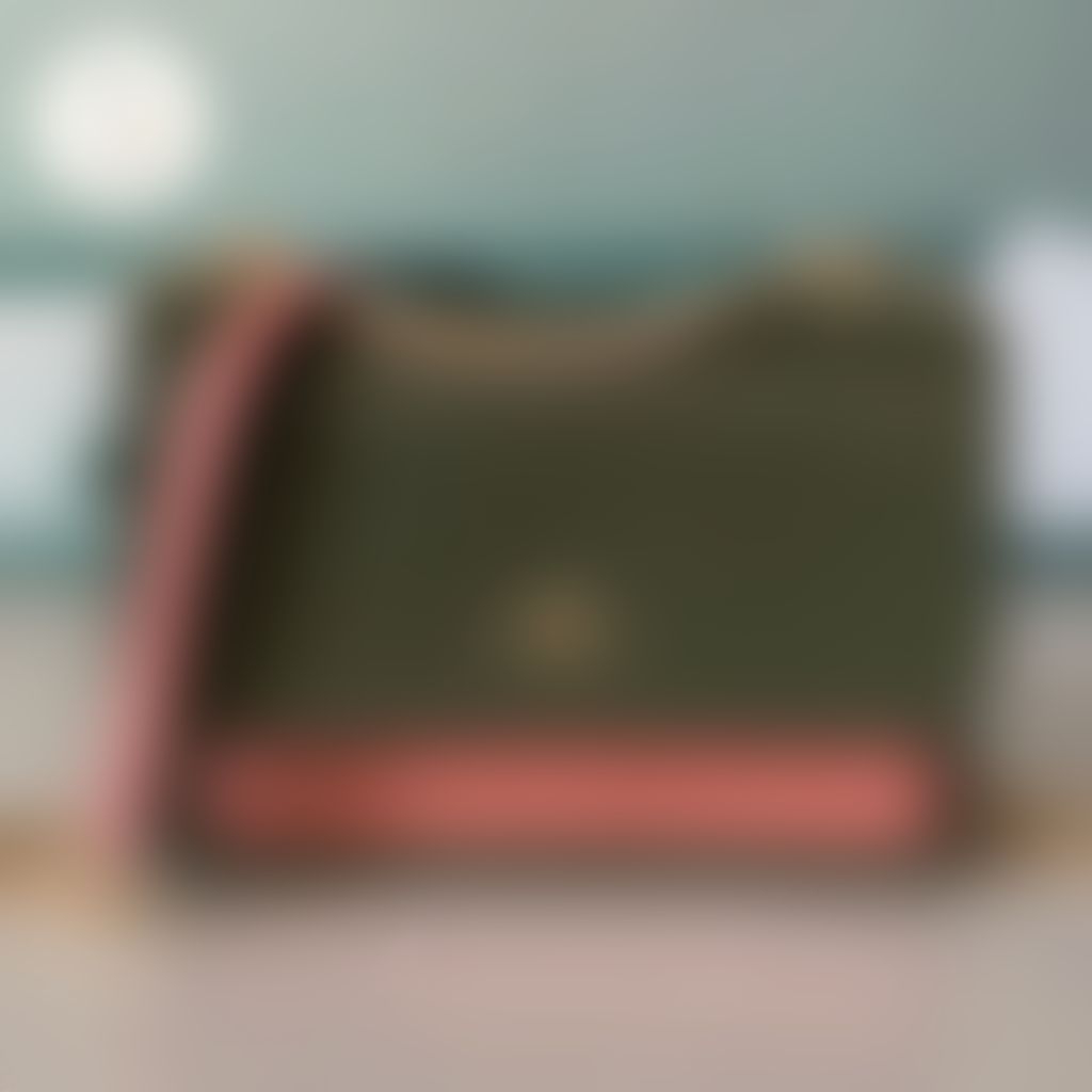 Bag Ch Clamshell Ole Klare