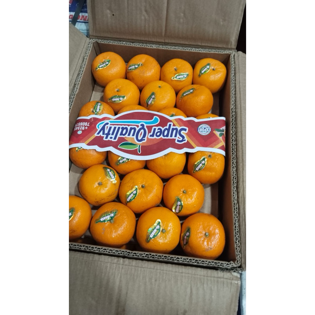 Jeruk Mandarin Dus Isi 10Kg