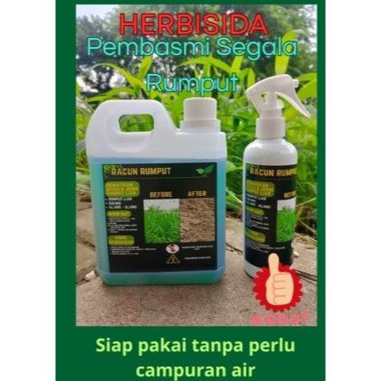 RACUN RUMPUT LIAR HERBISIDA SISTEMIK OBAT PEMBASMI RUMPUT LIAR GULMA PEMBUNUH ILALANG