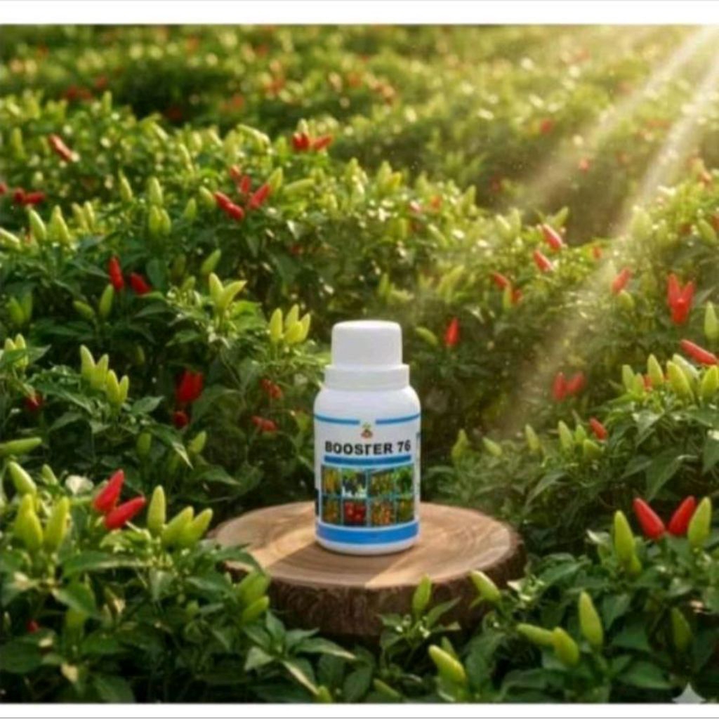 booster 76 original 100ml hormon pembuahan pembungaan tanaman