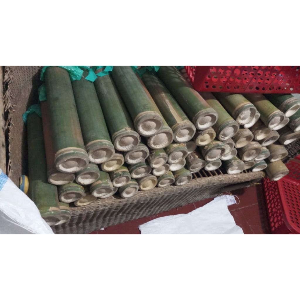 Ulat bambu termurah (ulat bambu, ulat bumbung, ulat cangkilung)