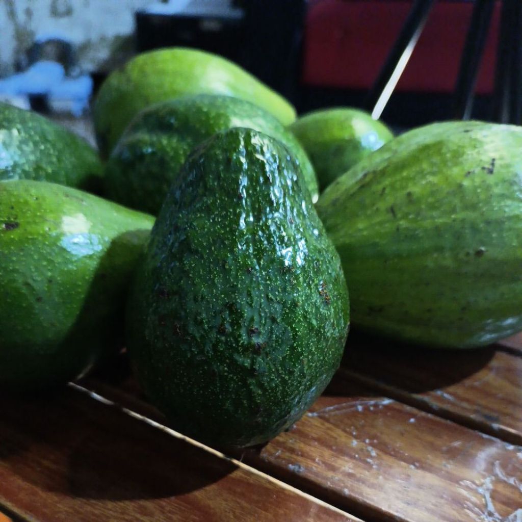 alpukat hass 1 kg