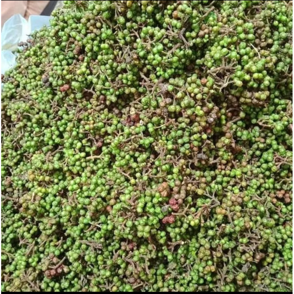 Andaliman / Andaliman Merica Khas Batak / Andaliman 15 Gram