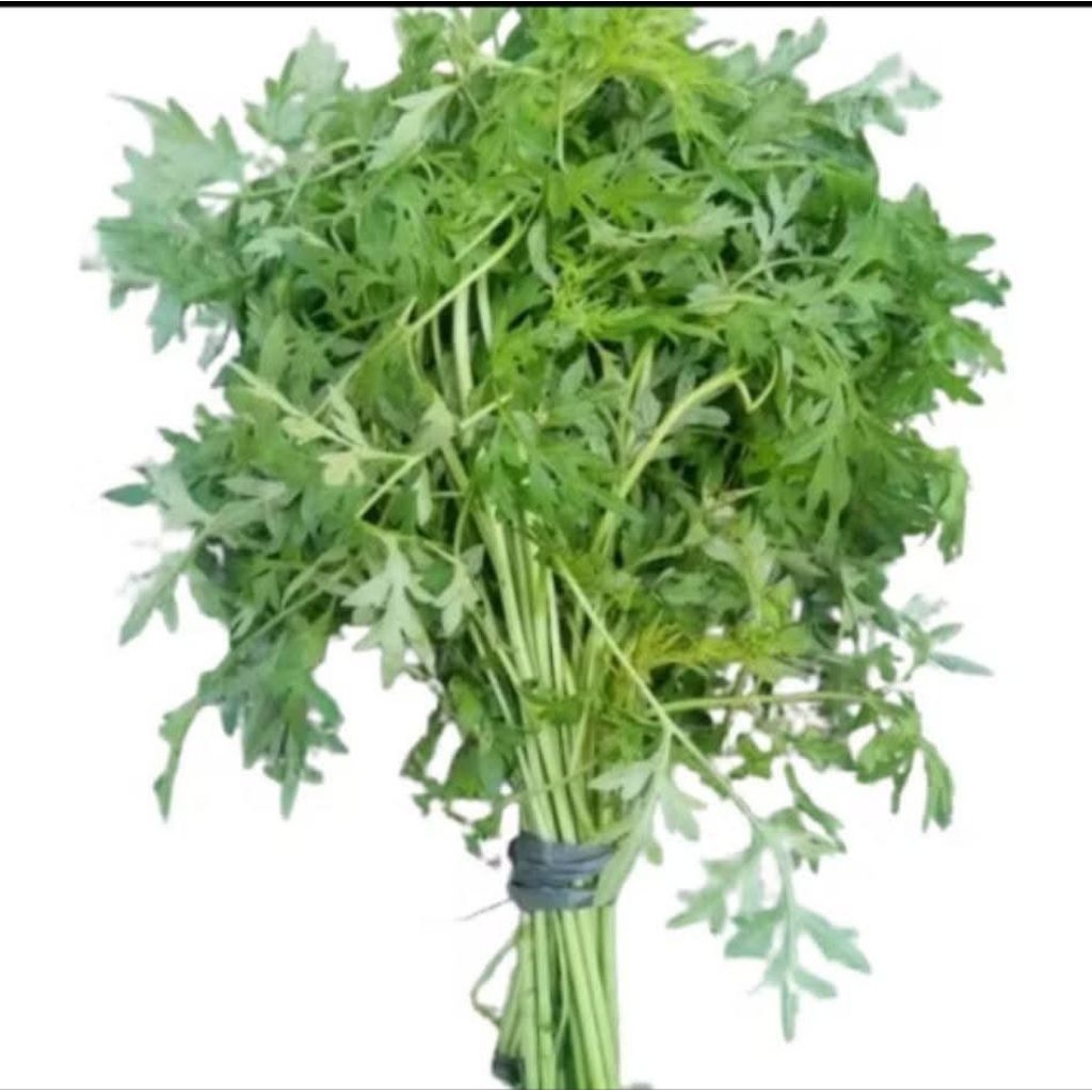 kenikir segar fress/sayur kenikir fress