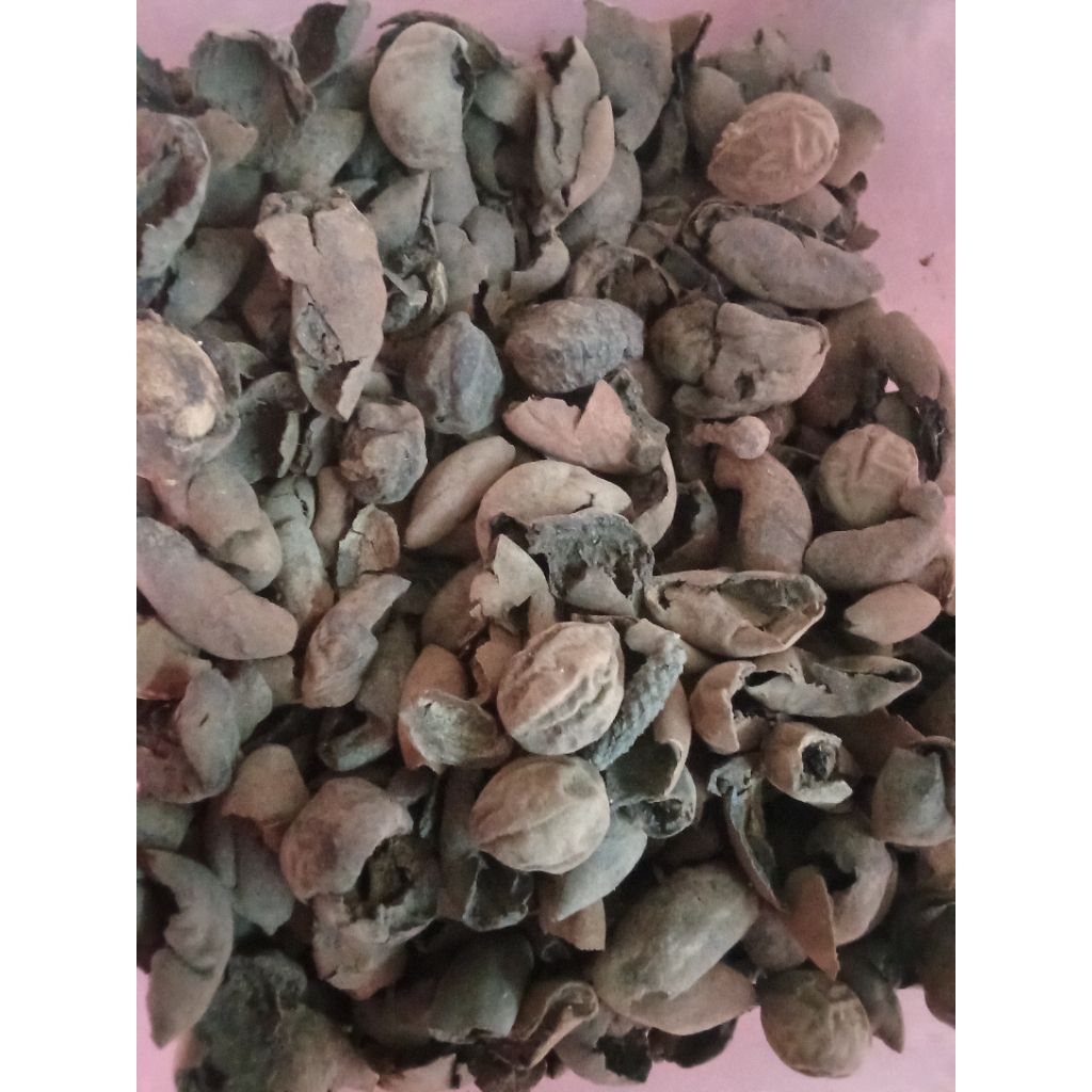 Jokeling kering untuk kesehatan