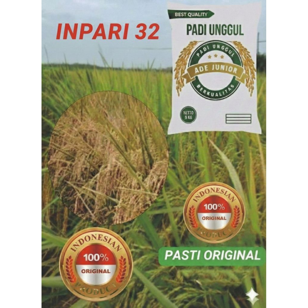 BENIH PADI INPARI 32 JUMBO KEMASAN 5 KG