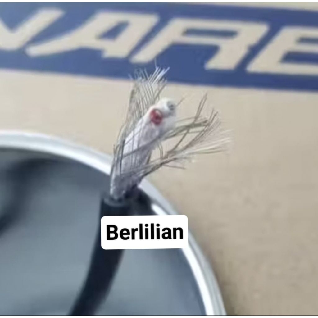 Kabel Mic Audio Canare L2T-2S Body Besar ( 1 meter ) Kabel Audio