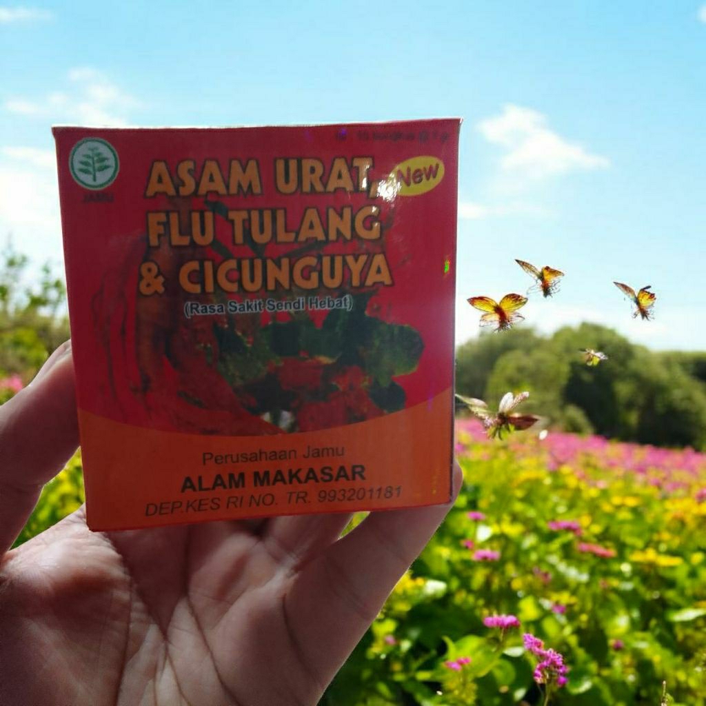 ALAM MAKASAR Mengatasi asam urat,flu tulang,cikungunya